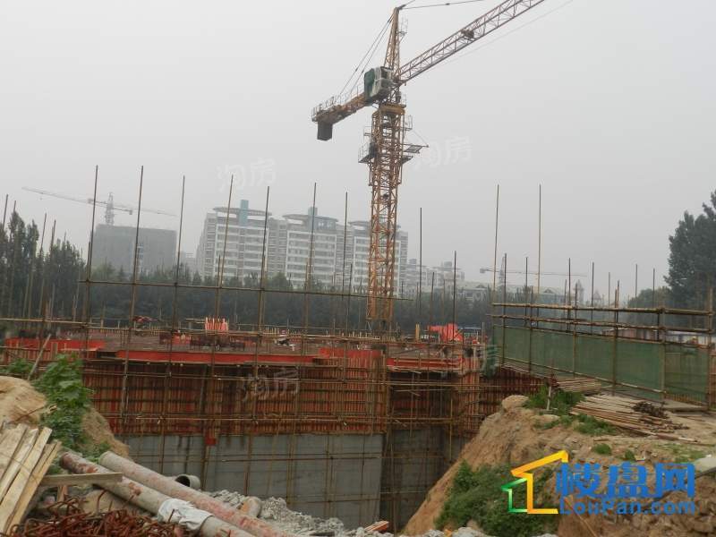 樱海揽郡实景图