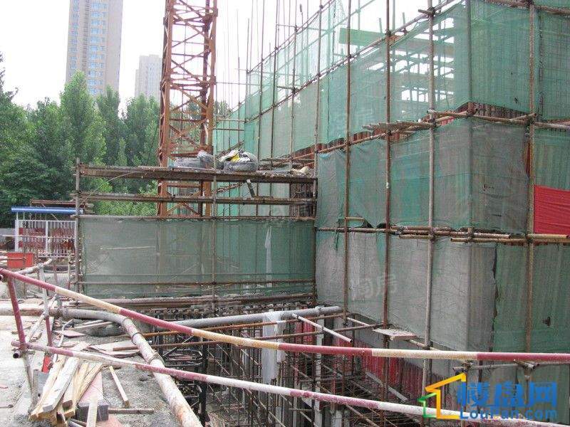 实景图