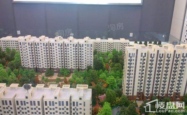 花雨汀实景图