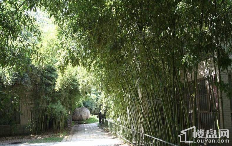 龙脉公馆实景图