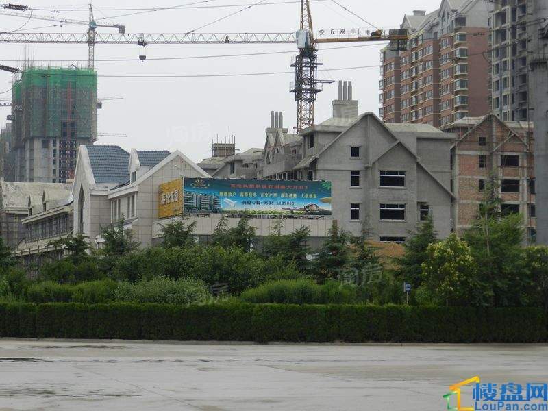 英伦花园实景图