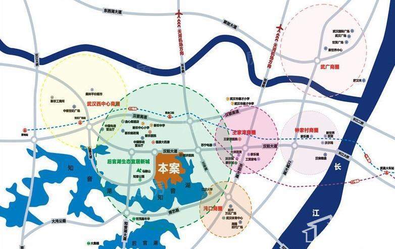 武汉中国健康谷位置图
