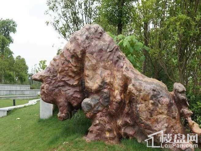 武汉中国健康谷实景图