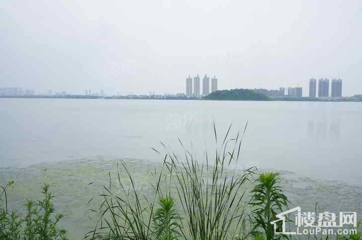 武汉中国健康谷实景图