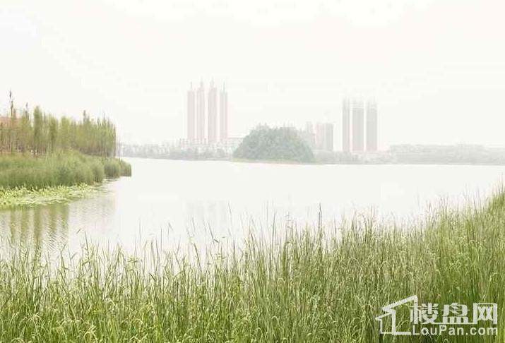 武汉中国健康谷实景图