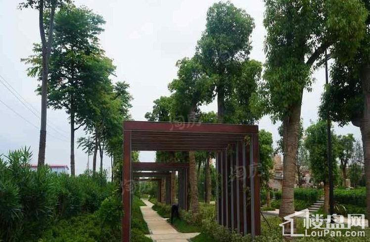 武汉中国健康谷实景图