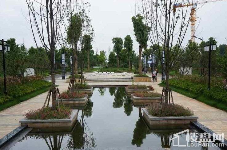武汉中国健康谷实景图