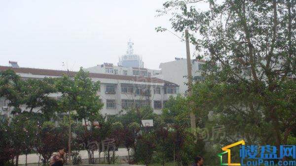 芙蓉小区实景图