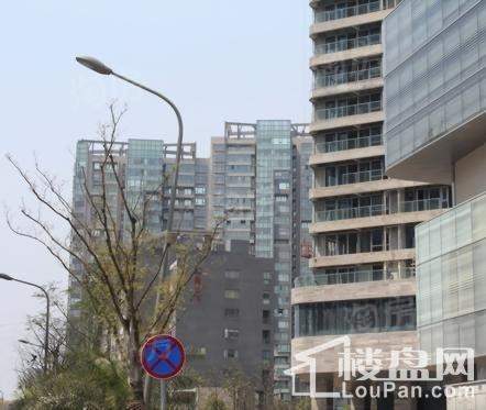 汇豪国际配套图