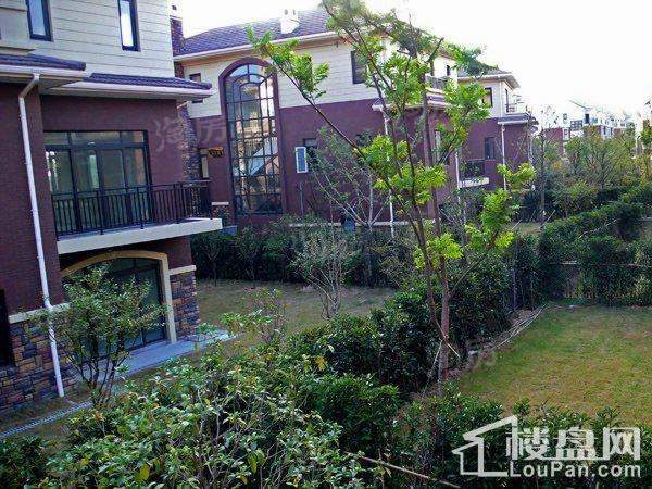 合生国际城实景图