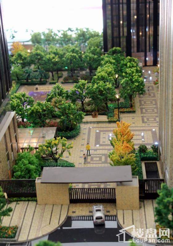 实景图