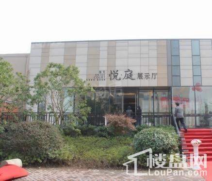 恒元悦庭实景图