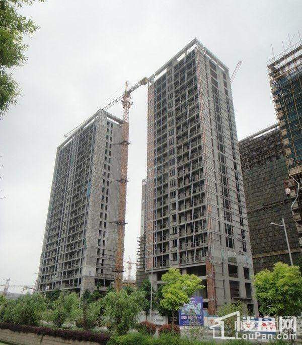 海港花园实景图