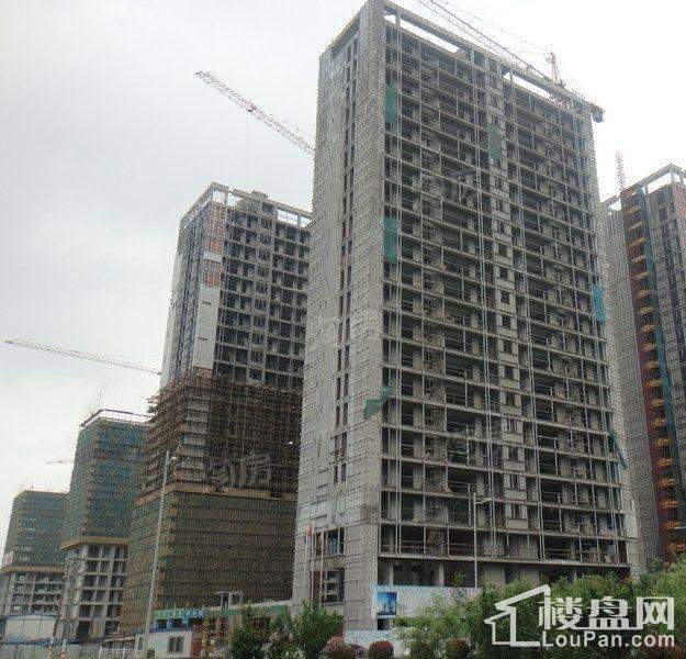 海港花园实景图