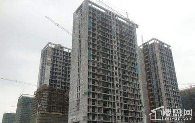 海港花园实景图