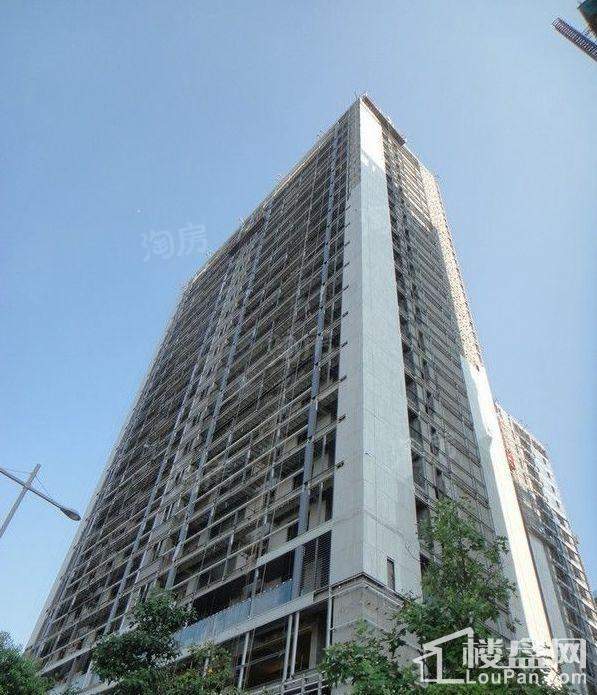 海港花园实景图