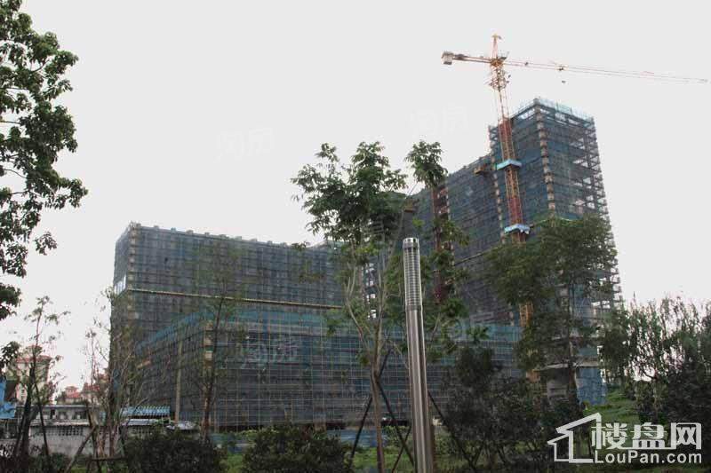 公园壹号实景图