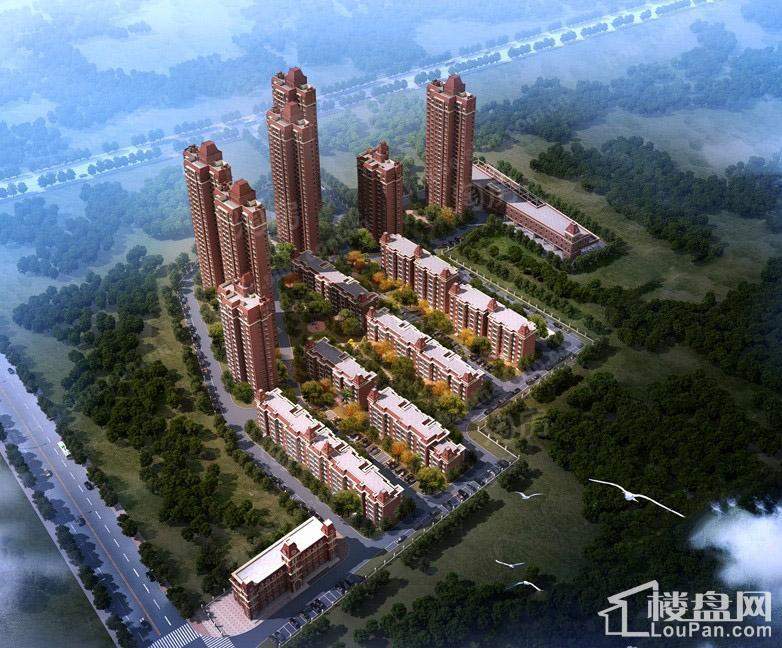 泰达美源效果图