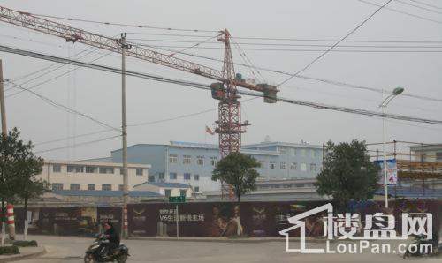 中河名庭商铺实景图