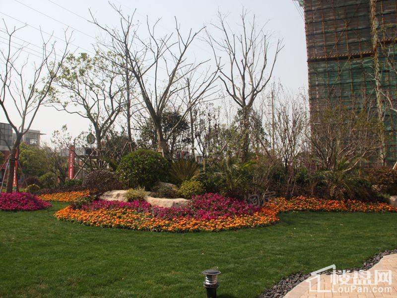 虹桥宝龙城实景图