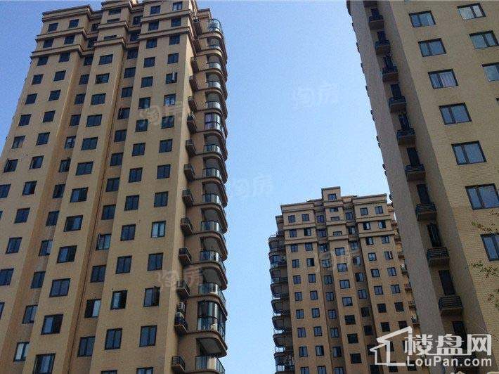 实景图