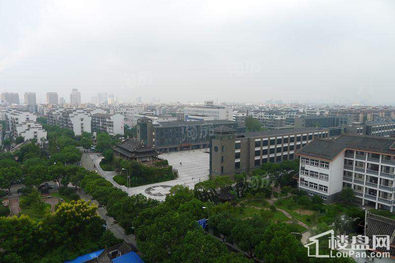实景图
