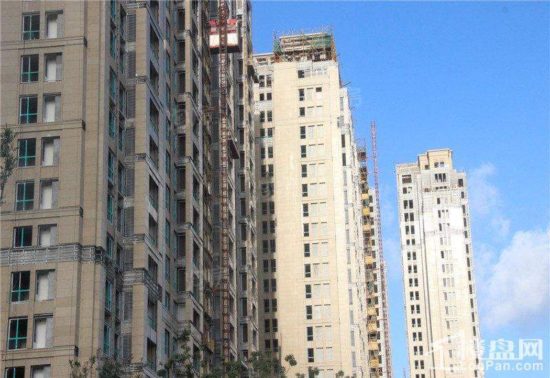 ART蓝山实景图