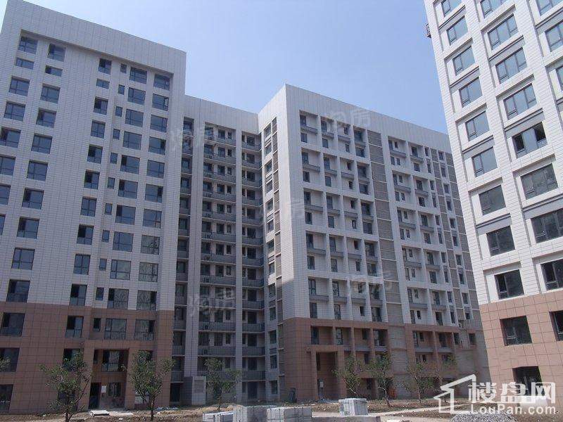 万通金府国际实景图