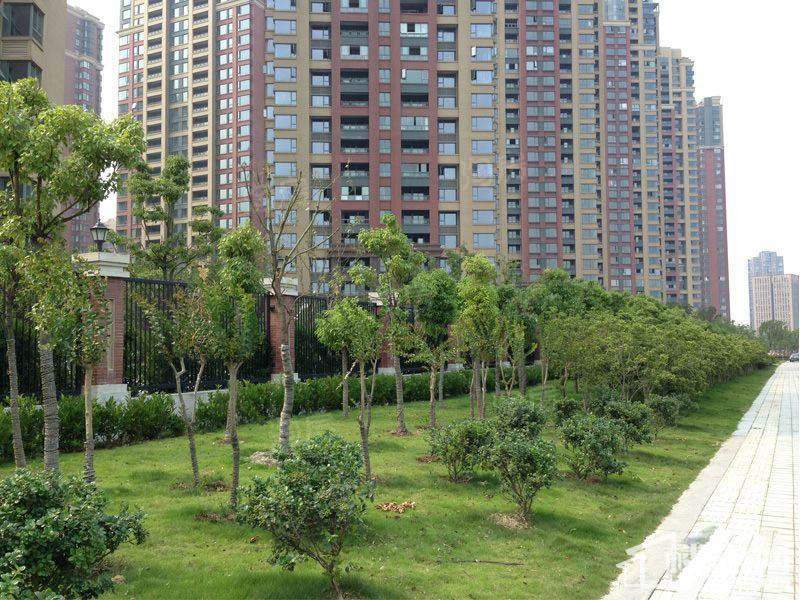 中海雍城世家实景图
