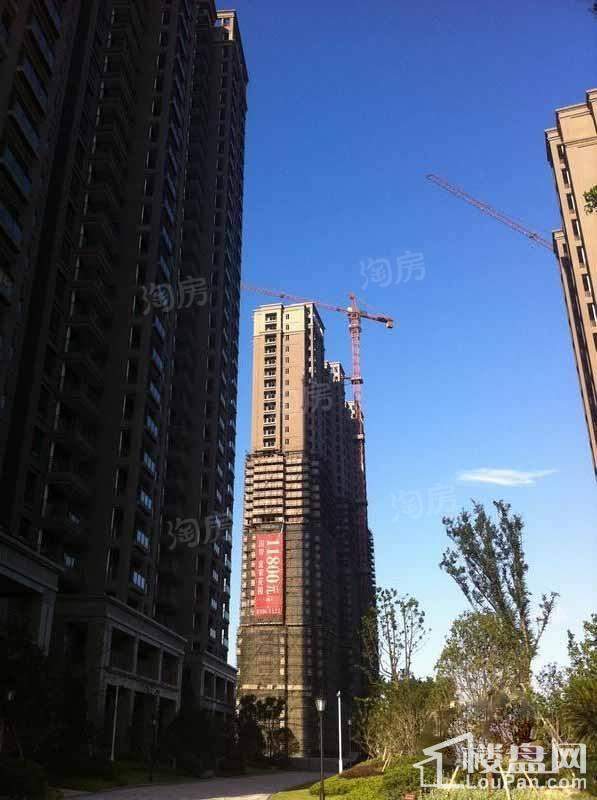 国骅宜家花园实景图