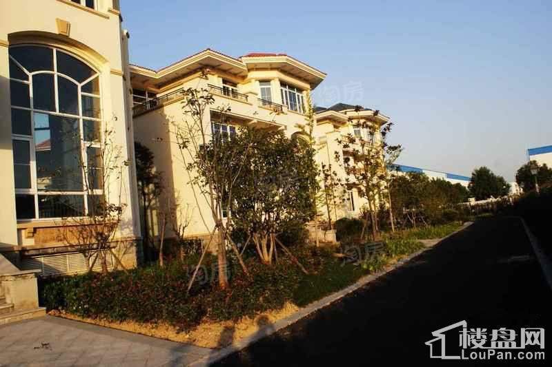康城阳光boss公馆实景图