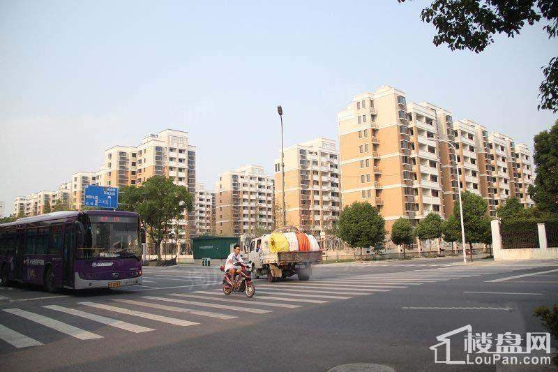 实景图