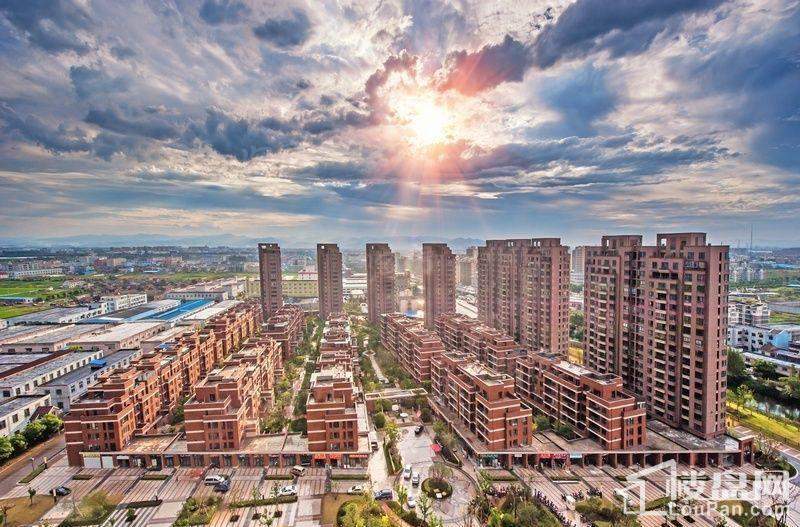 晴园三期实景图