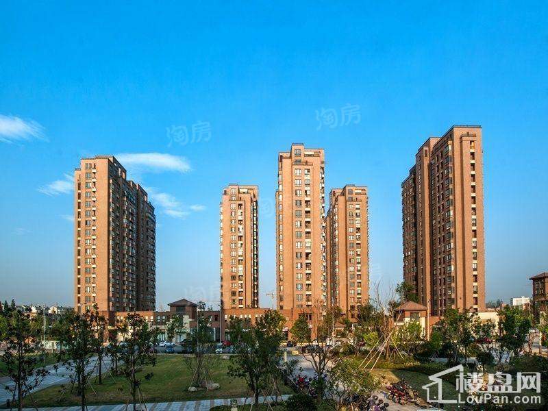 晴园三期实景图