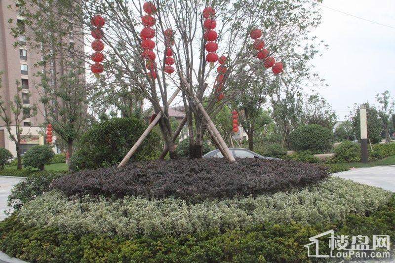 晴园三期实景图