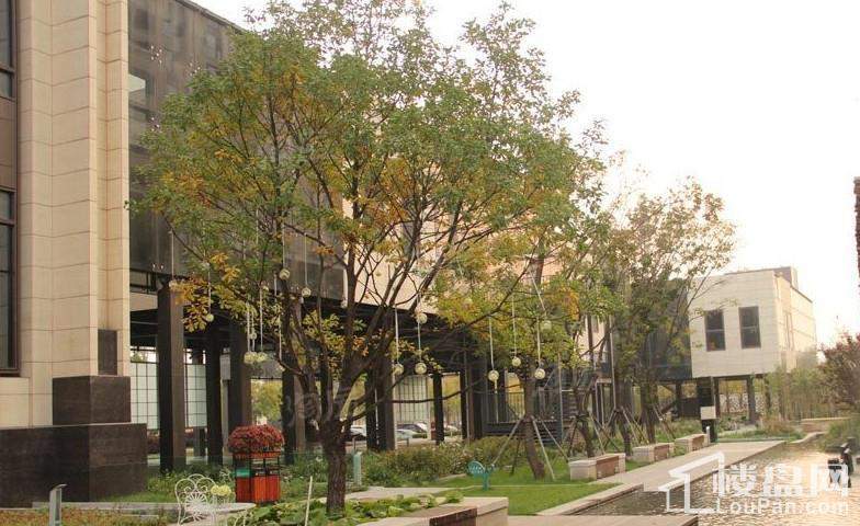 远洋海怡学府实景图