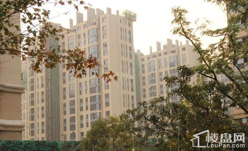 远洋海怡学府实景图