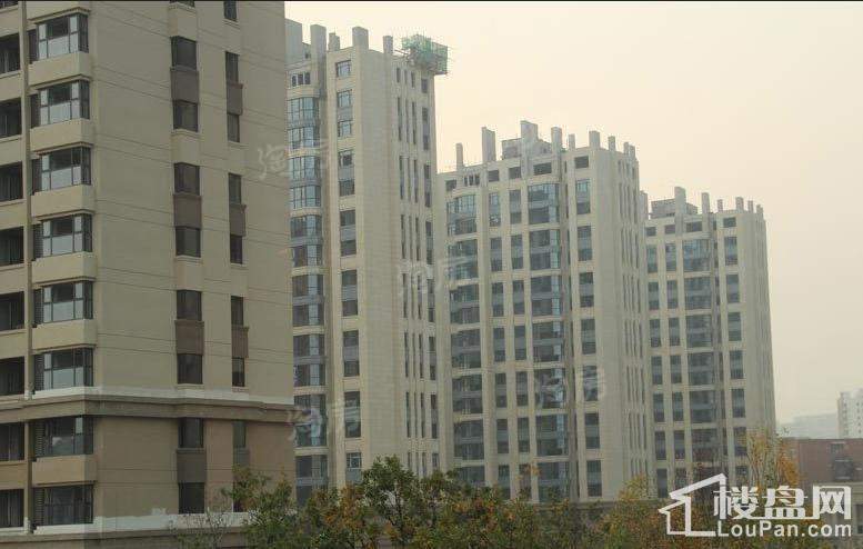 远洋海怡学府实景图
