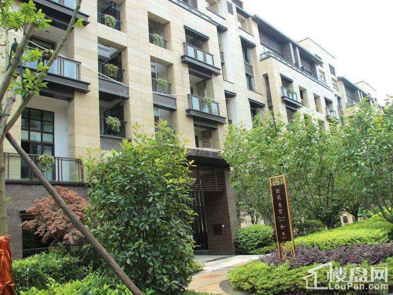 印象外滩实景图