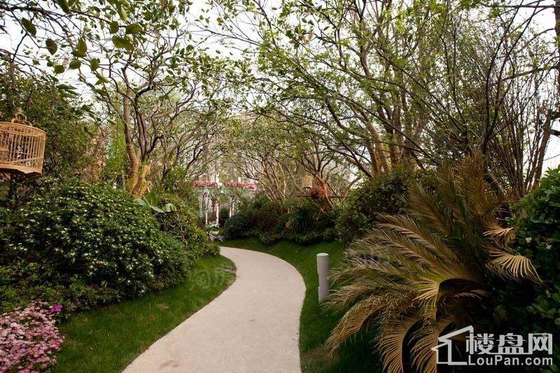 万科金域国际实景图