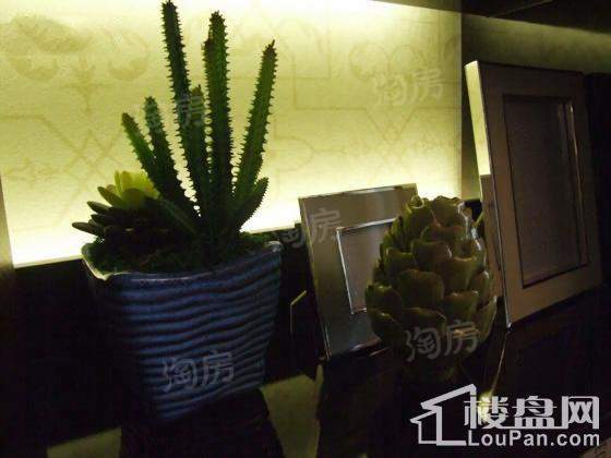 万科金色城市二期样板间