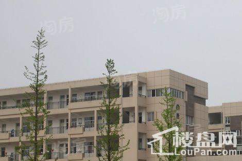 铭豪观樾配套图