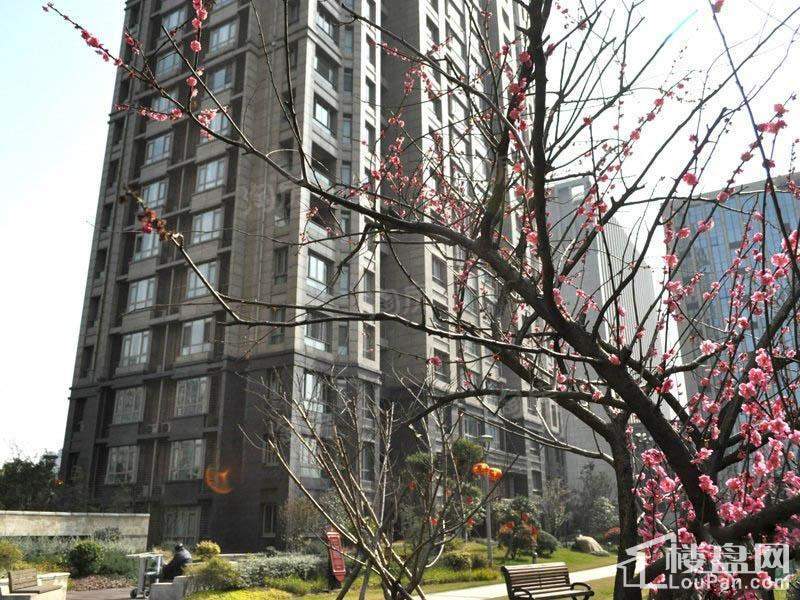 百隆东外滩花园实景图