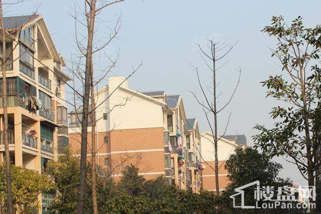 新星都市实景图