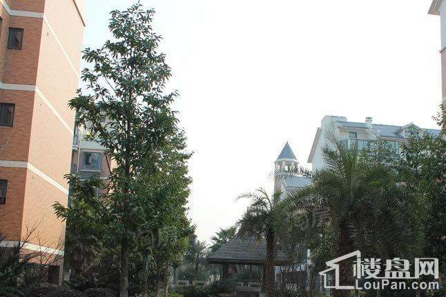 新星都市实景图