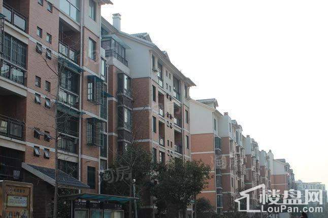 新星都市实景图