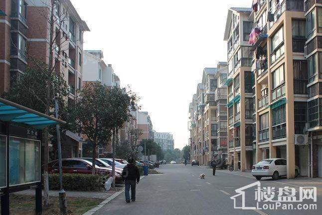 新星都市实景图