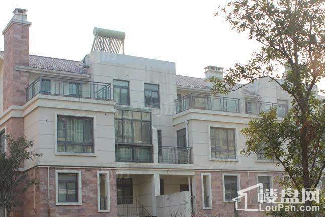 新星都市实景图