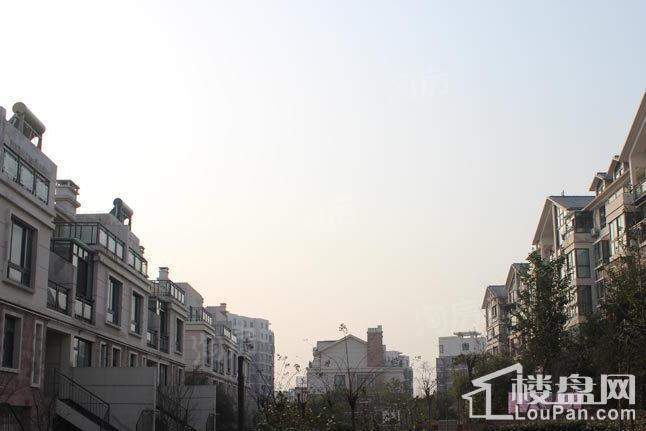 新星都市实景图