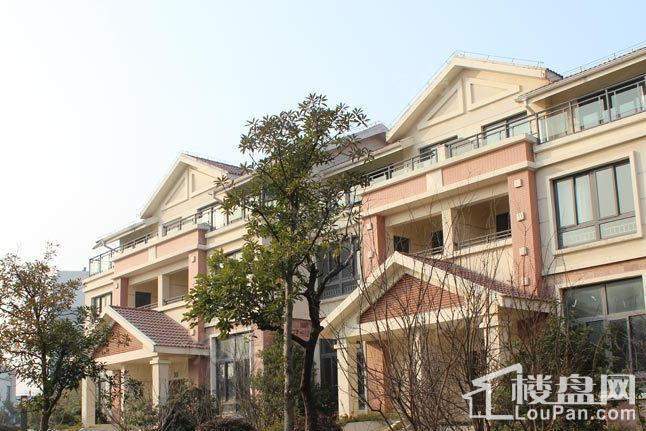 新星都市实景图